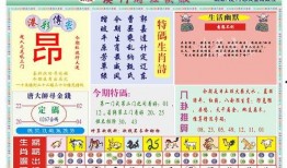 澳门最新爆料快报网站,快报网站揭秘热点事件