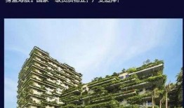 碧桂园爆料最新公告图片,揭秘企业战略布局与未来发展动向”