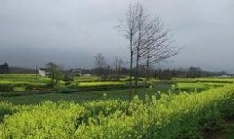 风景哥最新爆料,最新爆料带你领略风景无限