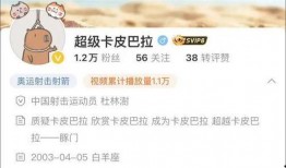 卡哥最新爆料视频下载安装,揭秘视频背后的下载安装奥秘