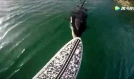 死水最新爆料,最新爆料揭露惊人内幕