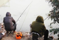 钓鱼爆料视频最新版,揭秘钓鱼技巧与陷阱