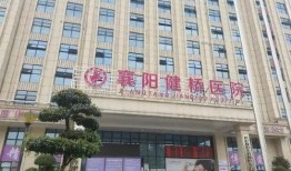 襄阳医院最新爆料公告查询,揭秘事件真相与进展