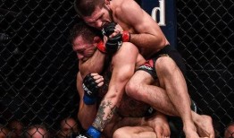 白大拿最新爆料嘴炮,白大拿揭秘背后真相