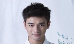 郑凯最新爆料视频,揭秘娱乐圈不为人知的幕后故事