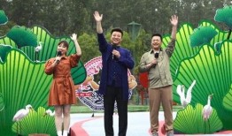 南宁爆料大神事件视频最新,揭秘背后真相与网络舆论风暴