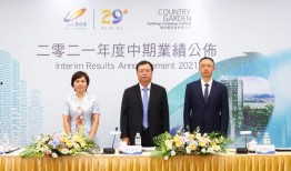 碧桂园爆料最新公告图片,揭秘企业战略布局与未来发展动向”