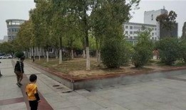 罗山网友最新爆料,揭秘神秘事件背后真相！