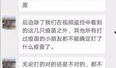石家庄爆料医生事件最新,真相与争议交织的医患关系拷问